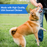 Dogswell Immune System Jerky Treats, Chicken Breast