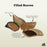 Redbarn Peanut Butter Filled Hooves Dog Treats