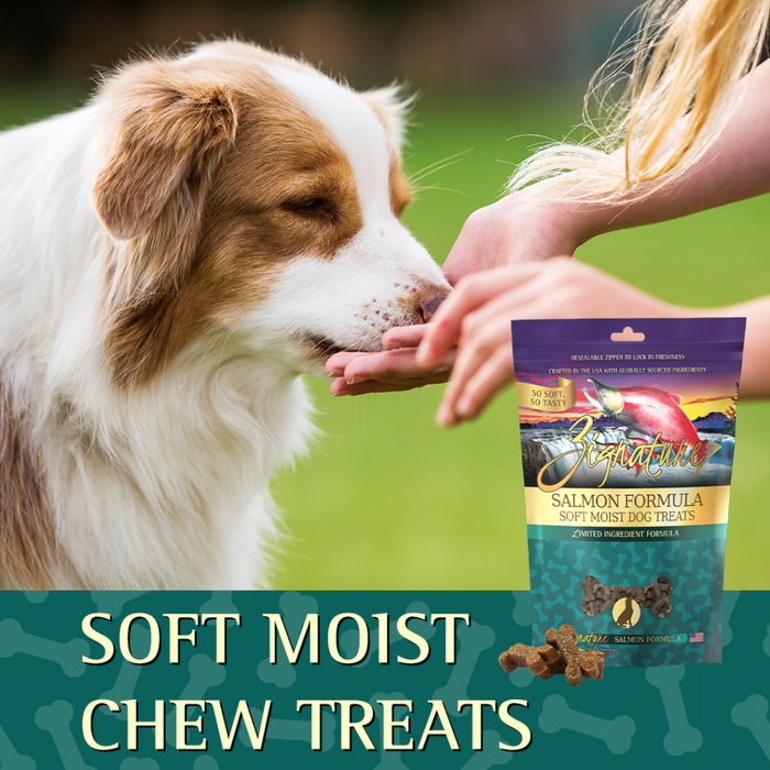 Zignature® Salmon Formula Soft Moist Dog Treats, 4oz