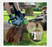 EGO 18" Chain Saw  Kit (5.0Ah Fuel Gage Battery, 56V 220W Charger)