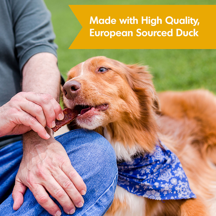Dogswell Hip & Joint Jerky Treats, Duck Recipe, 10oz