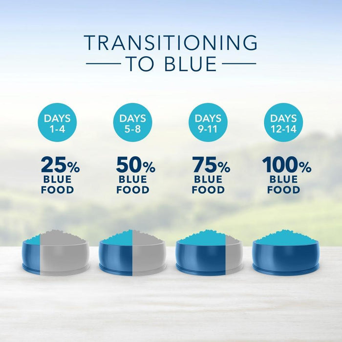 Blue Buffalo Life Protection Natural Small Bites Chicken & Brown Rice Recipe Adult Dry Dog Food
