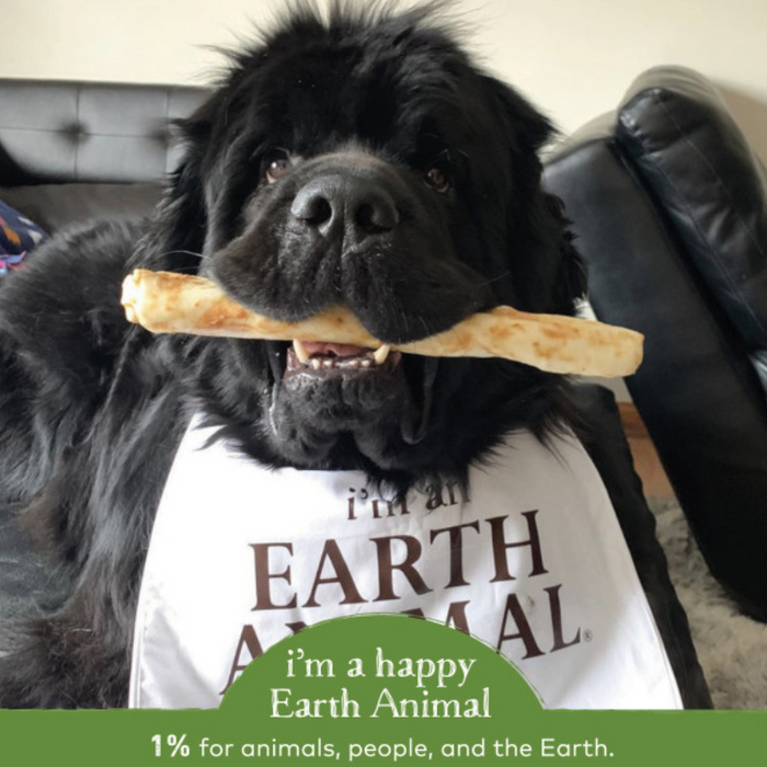 Earth Animal Pork No-Hide® Wholesome Dog Chews - Large, 11"