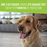 Adams Plus Flea & Tick Indoor Fogger