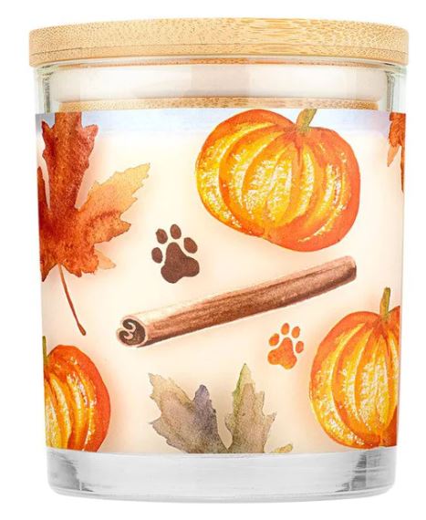 Pet House Candle, Pumpkin Spice 9oz