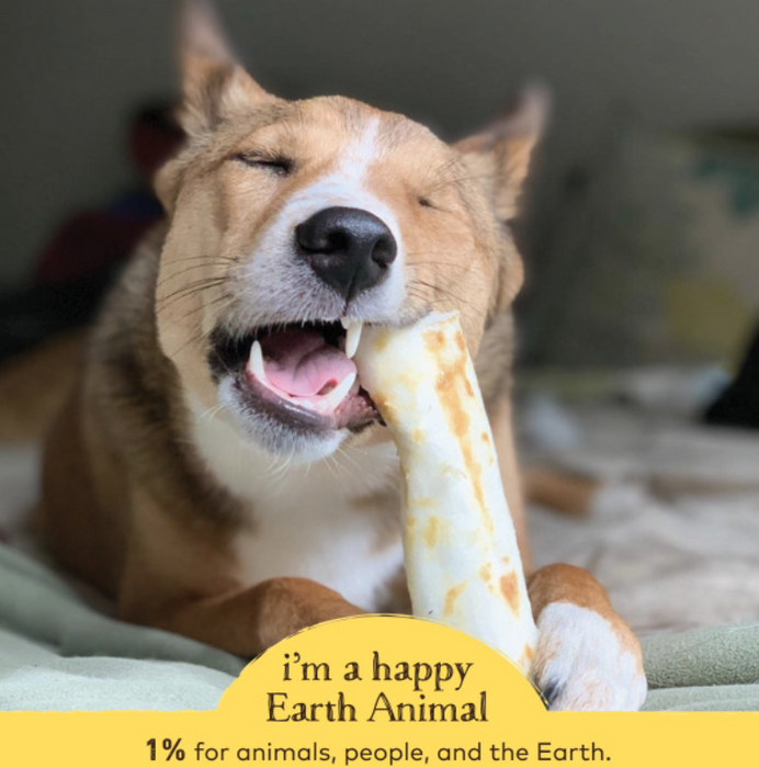 Earth Animal Peanut Butter No-Hide® Wholesome Dog Chews - Medium, 7"