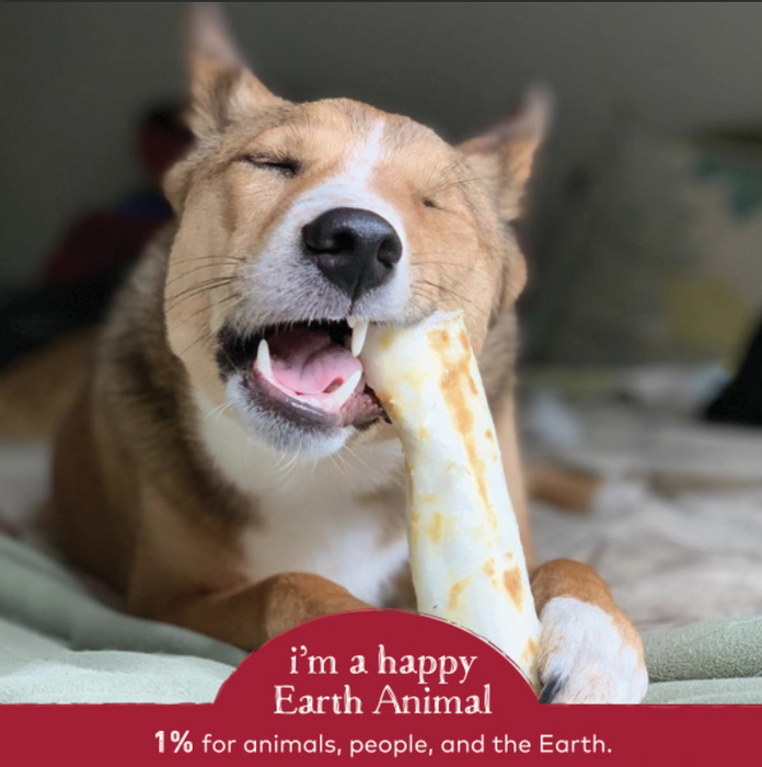 Earth Animal Beef No-Hide Wholesome Dog Chews- Medium, 7"