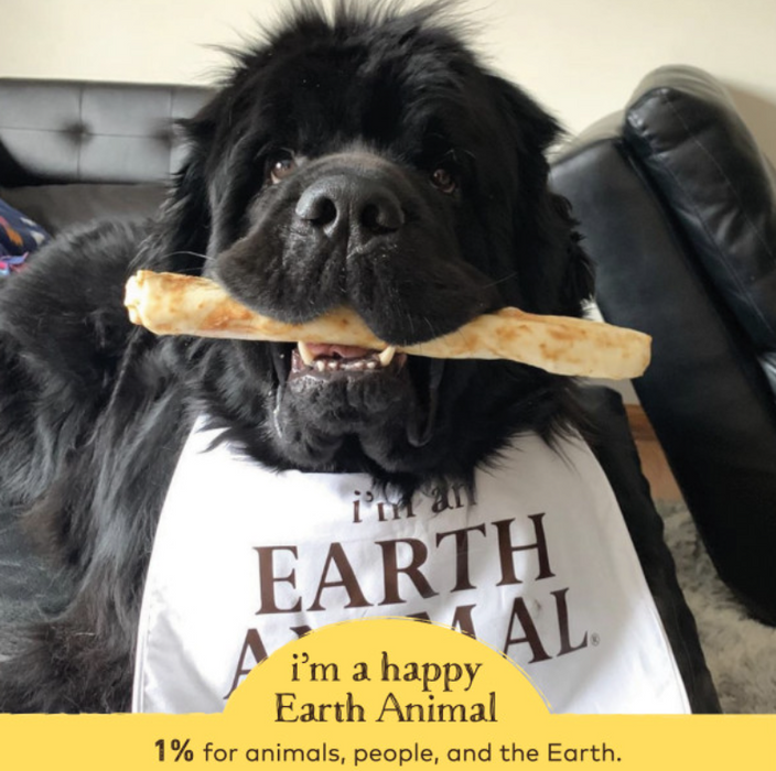 Earth Animal Peanut Butter No-Hide Wholesome Dog Chews - Large, 11"