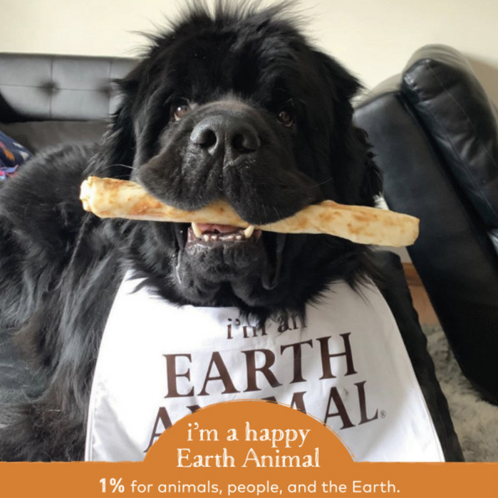 Earth Animal Chicken No-Hide Wholesome Dog Chews- Large, 11"