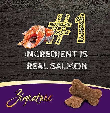 Zignature Ziggy Bar Salmon Formula Dog Biscuit Dog Treats, 12oz