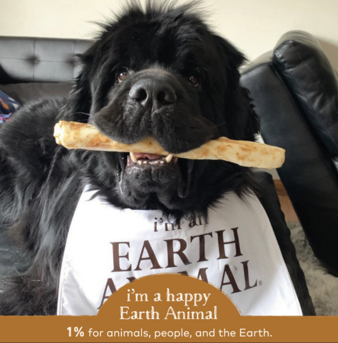 Earth Animal Venison No-Hide Wholesome Dog Chews - Large, 11"