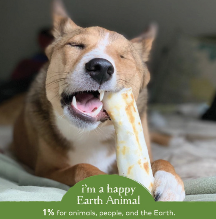 Earth Animal Pork No-Hide® Wholesome Dog Chews - Medium, 7"