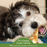 Earth Animal Pork No-Hide® Wholesome Dog Chews - Small, 4"