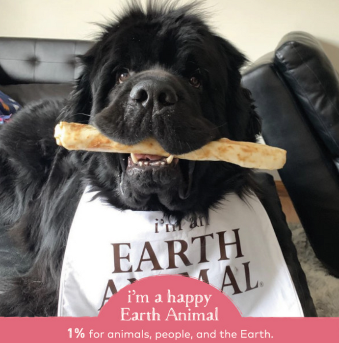 Earth Animal Salmon No-Hide Wholesome Dog Chews - Large, 11"