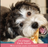 Earth Animal Salmon No-Hide® Wholesome Dog Chews - Small, 4"
