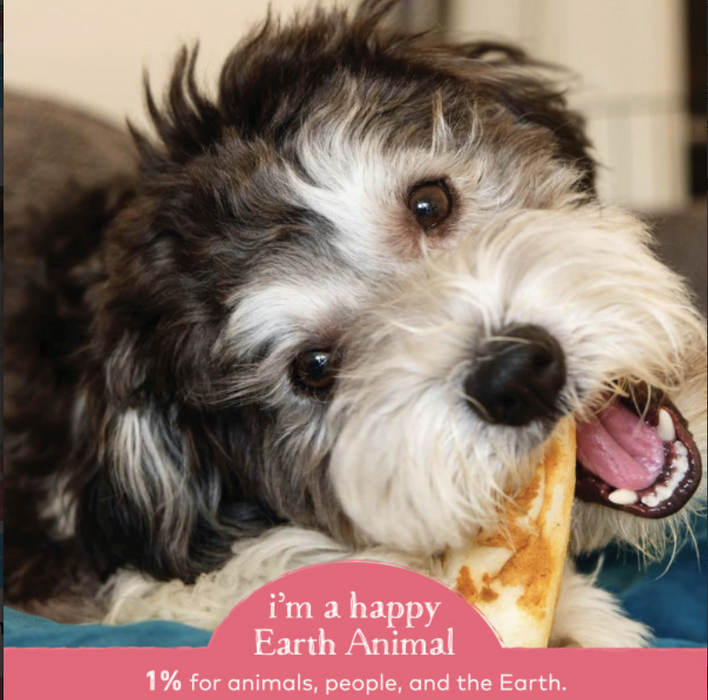 Earth Animal Salmon No-Hide® Wholesome Dog Chews - Small, 4"