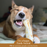 Earth Animal Venison No-Hide® Wholesome Dog Chews- Medium, 7"
