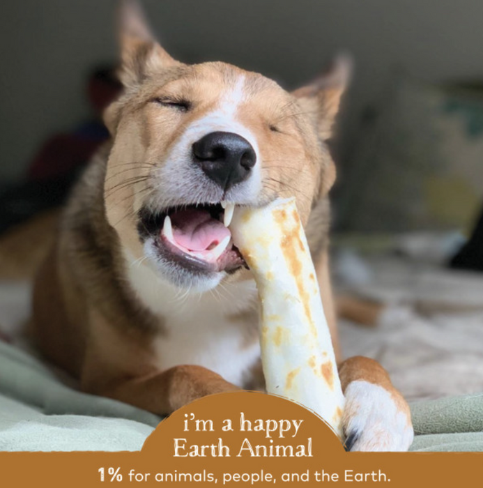 Earth Animal Venison No-Hide® Wholesome Dog Chews- Medium, 7"