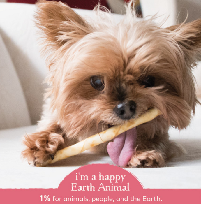 Earth Animal Salmon No-Hide® Dog & Cat STIX - 10 pack