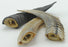 Icelandic+ Small Lamb Horn with Marrow Dog Treat