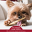Earth Animal Beef No-Hide Wholesome Chews Dog & Cat STIX - 10 pack