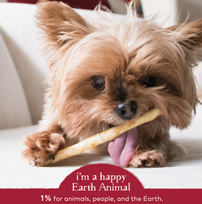 Earth Animal Beef No-Hide Wholesome Chews Dog & Cat STIX - 10 pack