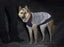 Polaris Reflective Sweater, Black