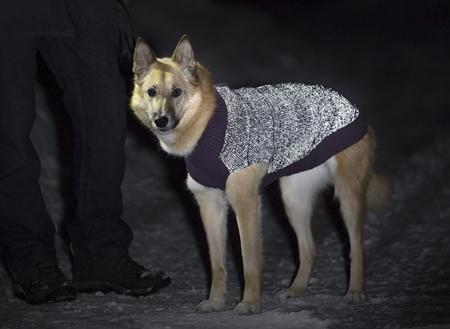 Polaris Reflective Sweater, Black