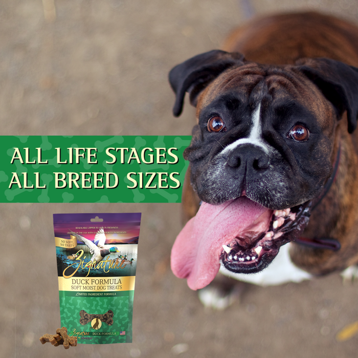 Zignature® Duck Formula Soft Moist Dog Treats, 4oz