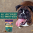 Zignature® Salmon Formula Soft Moist Dog Treats, 4oz