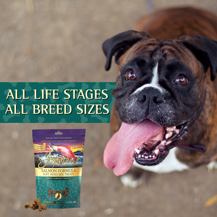 Zignature® Salmon Formula Soft Moist Dog Treats, 4oz
