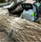 EGO Power+ 14" Chain Saw Kit (2.5AH Fuel Gage Battery, 56V 220W Charger)