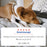 Adams Plus Flea & Tick Indoor Fogger