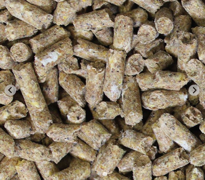 Poulin Grain Cow Ultra 20% Dairy/ Beef Pellet