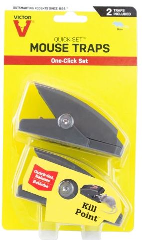 Quick-Set Mouse Trap