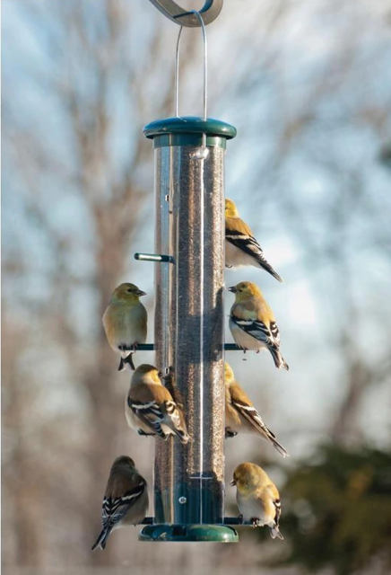 Finch Tube Feeder, 2lb capacity