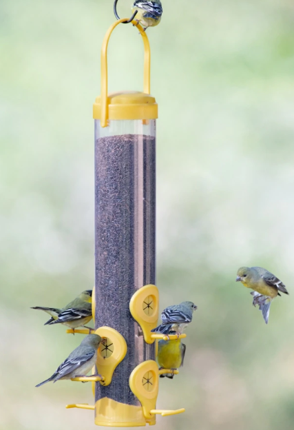 Classic Finch Feeder, 1lb capacity