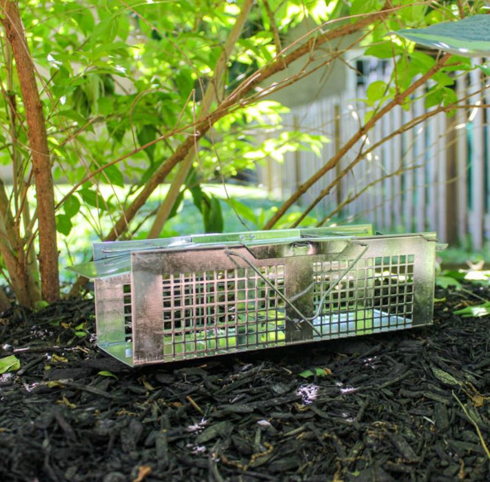 Havahart Trap Extra Small