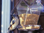 Window Cafe Bird Feeder