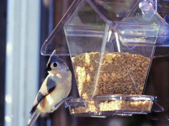 Window Cafe Bird Feeder