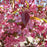Royal Raindrops Crabapple