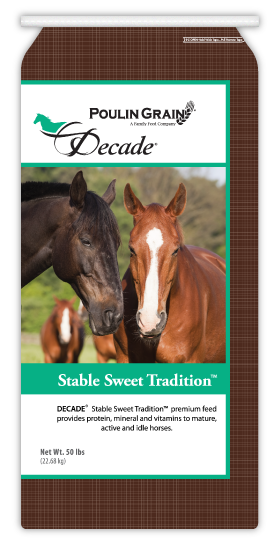 Poulin Grain Decade X-PEDITION (Stable Sweet) Textured