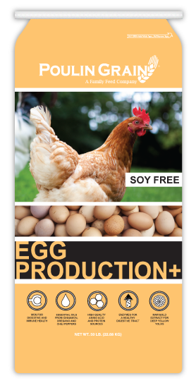 Poulin Grain Egg Production Plus Crumbles