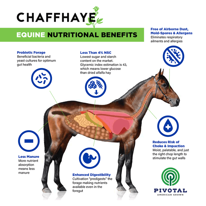 Chaffhaye Bale