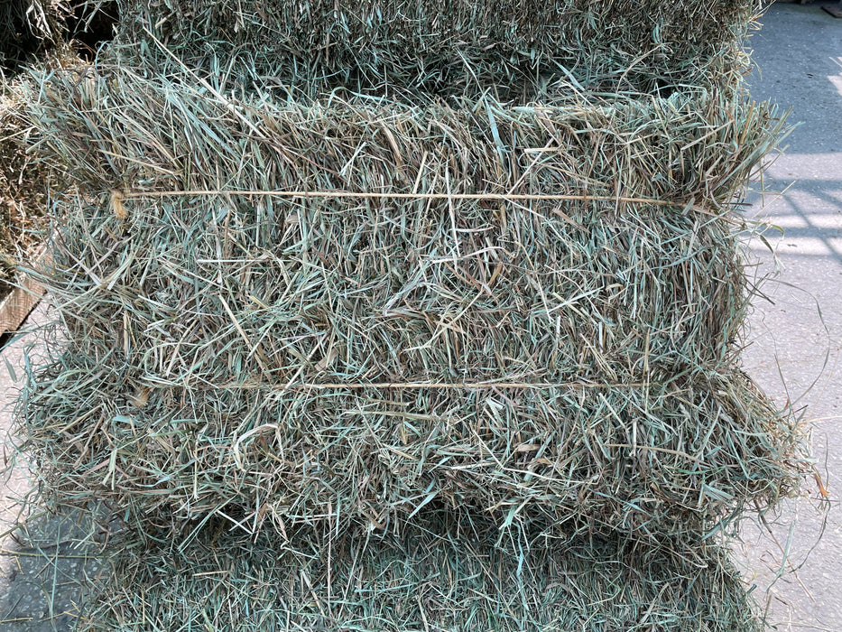 Local First Cut Hay Bale *Temporarily Out of Stock*
