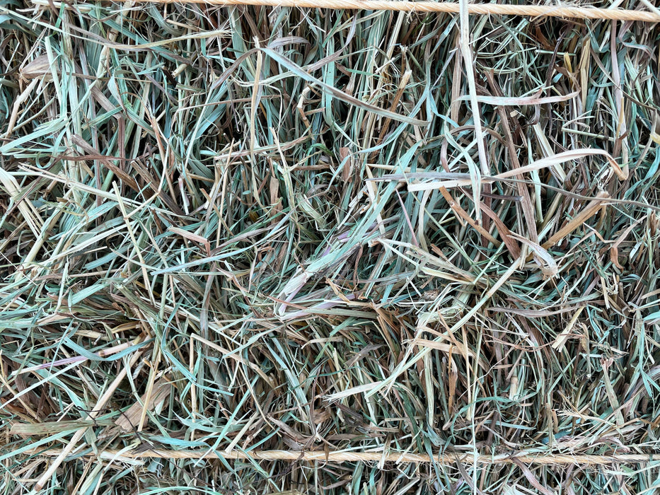 Local First Cut Hay Bale *Temporarily Out of Stock*