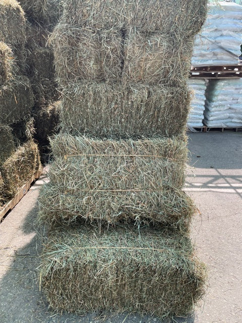 Local First Cut Hay Bale *Temporarily Out of Stock*