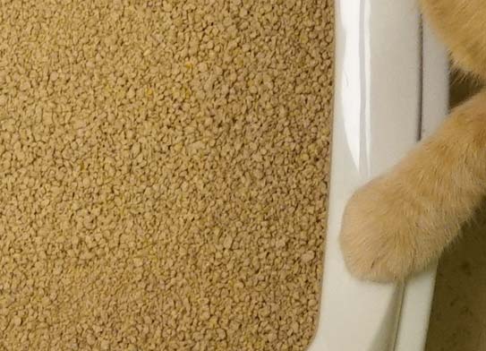 World's Best Low Tracking & Dust Control Cat Litter