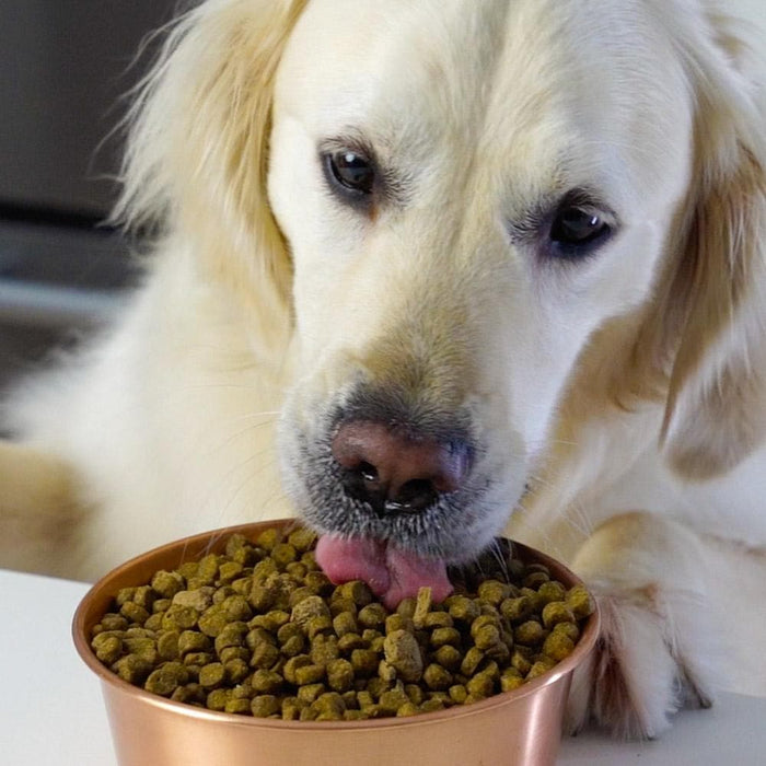 Open Farm Grass-Fed Beef Grain Free Dry Dog Food