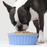Open Farm Herring & Mackerel Stew 12.5oz